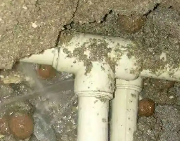 蔡甸测漏水多少钱