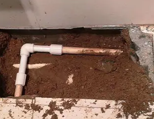 蔡甸测漏水哪家好