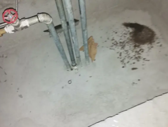 蔡甸卫生间测漏水价格明细