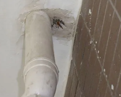 蔡甸漏水检测哪家好